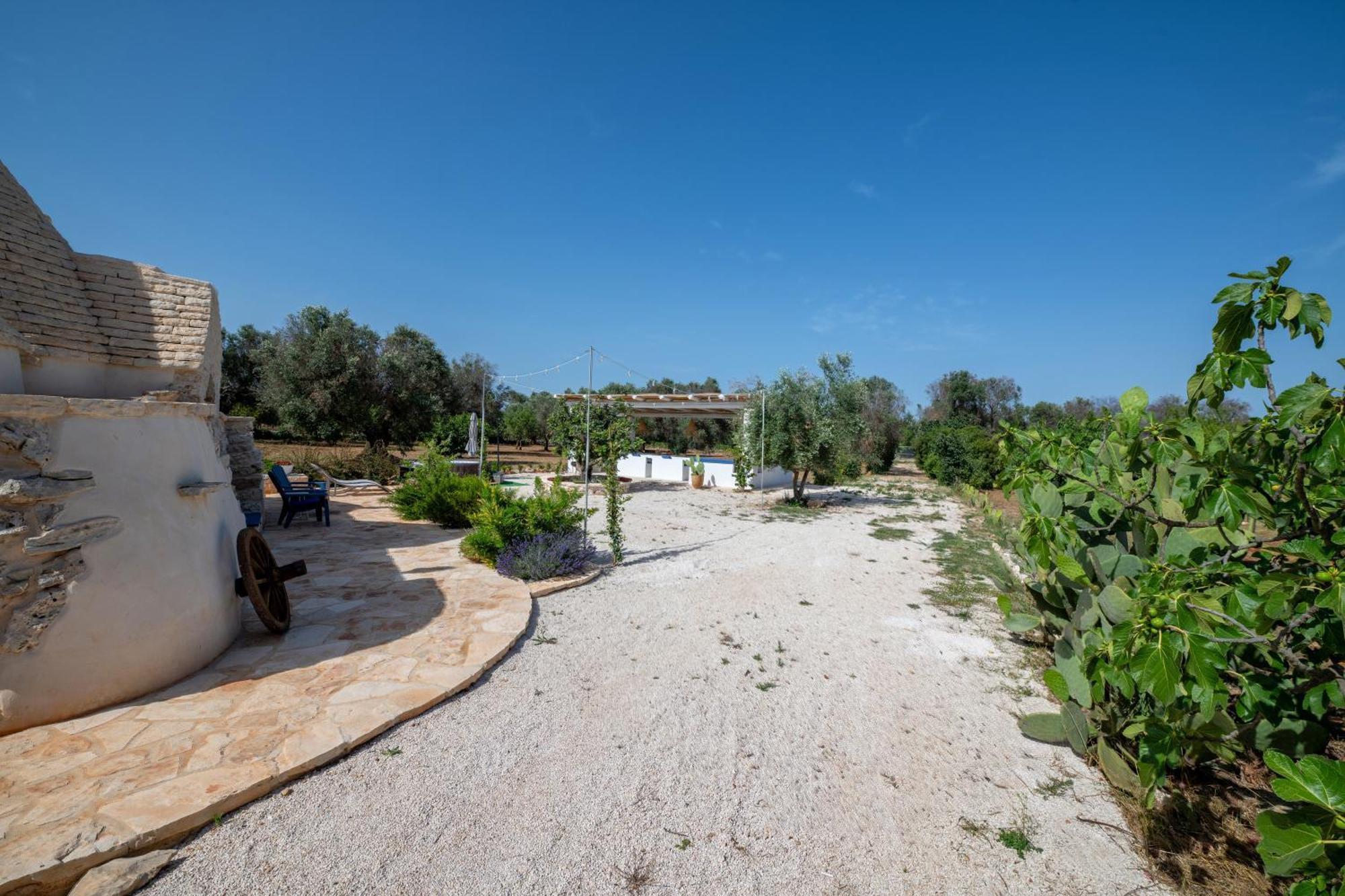 Il Trullo Di Mariangela Vila Ceglie Messapica Exterior foto